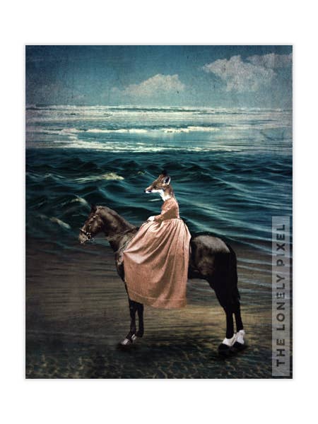Le renard et la mer - Tirage photographique 8x10 pour la vente par The Lonely Pixel