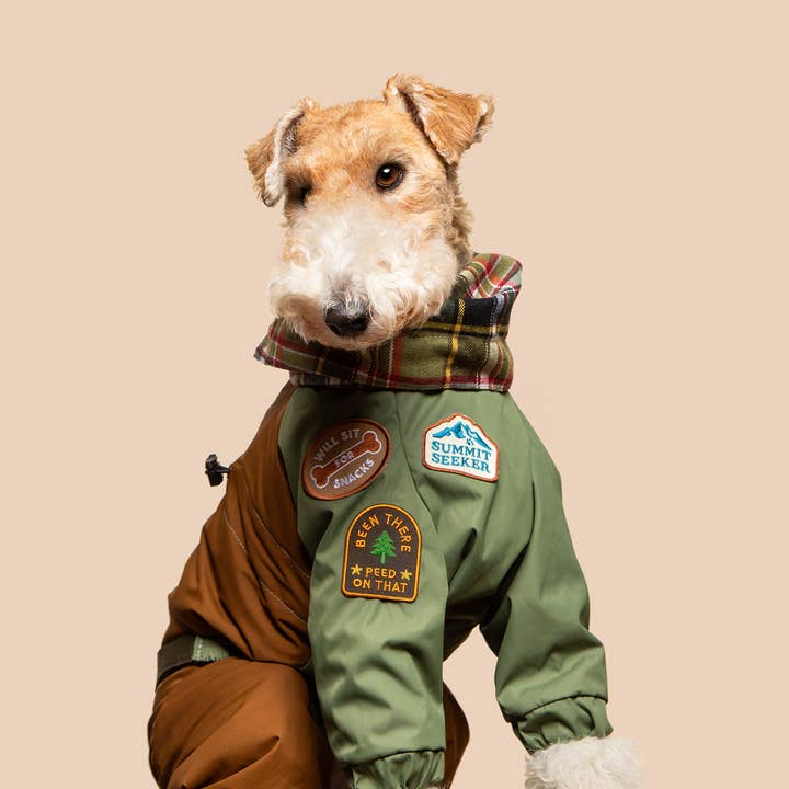Scout's Honour - Wholesale Pet Bandana - Dog - Belly Rub Club iron-on patch for dogs