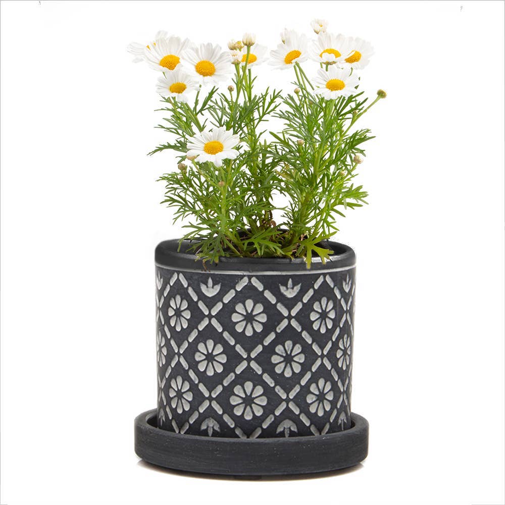 Chive UK - Wholesale Plant Pot - Balter Pot with Saucer for Houseplants, Cacti, Succulents16