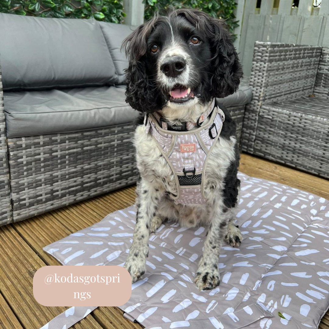 Bramble & Co - Venta al por mayor Esterilla - Perros - Alfombrilla de Viaje - La Neutralidad de los Sentimientos8