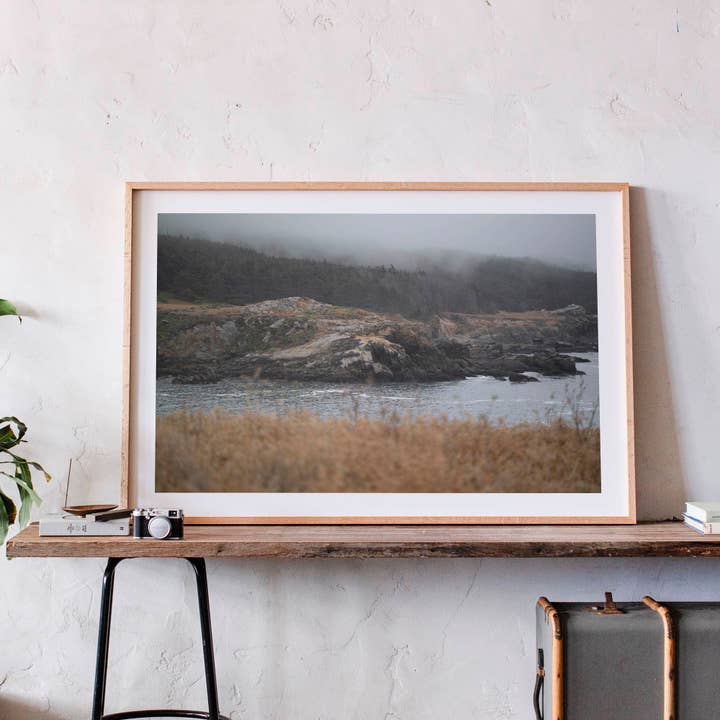 June 19 2018 - Salt Point State Park, California for wholesale by Jess Gibbs Photography