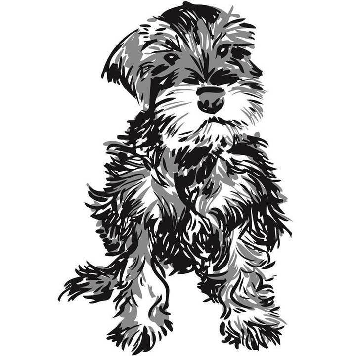 RAN-66 Mini-Schnauzer-Kunstdruck für den Großhandel von Rigel Paper