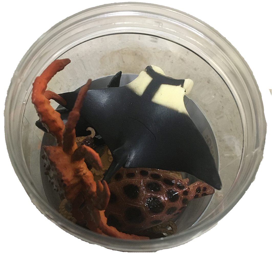 Texas Toy Distribution – wholesale Figurine toy – Kids – Zoo and Sea Animal 3" Figurine Toy Assortment Collection Set11