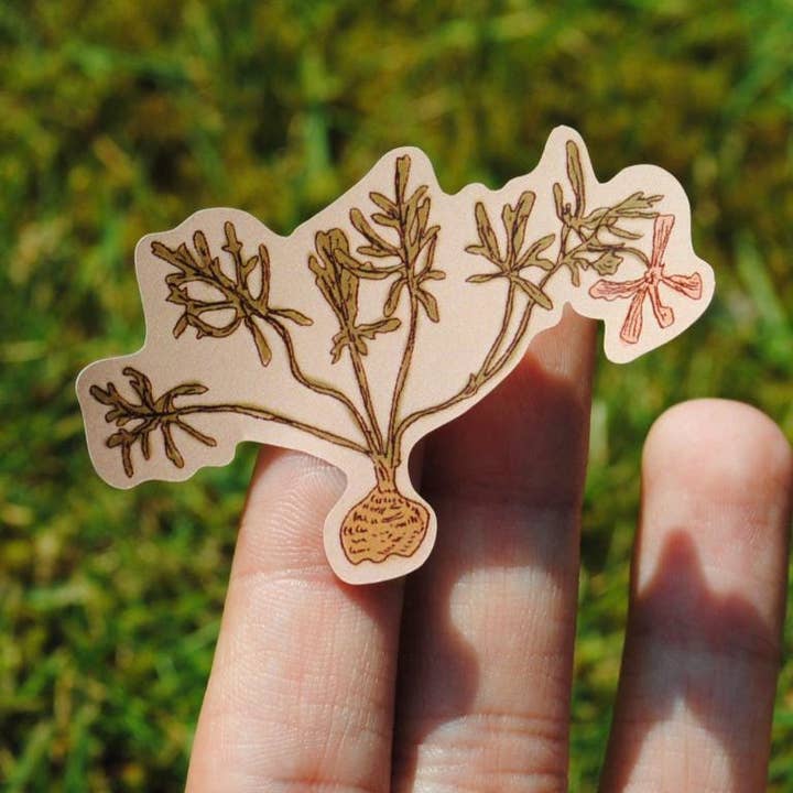 Tulips and Heather – wholesale Sticker – Sticker Sheet "Dried Flowers" for journals and planners3