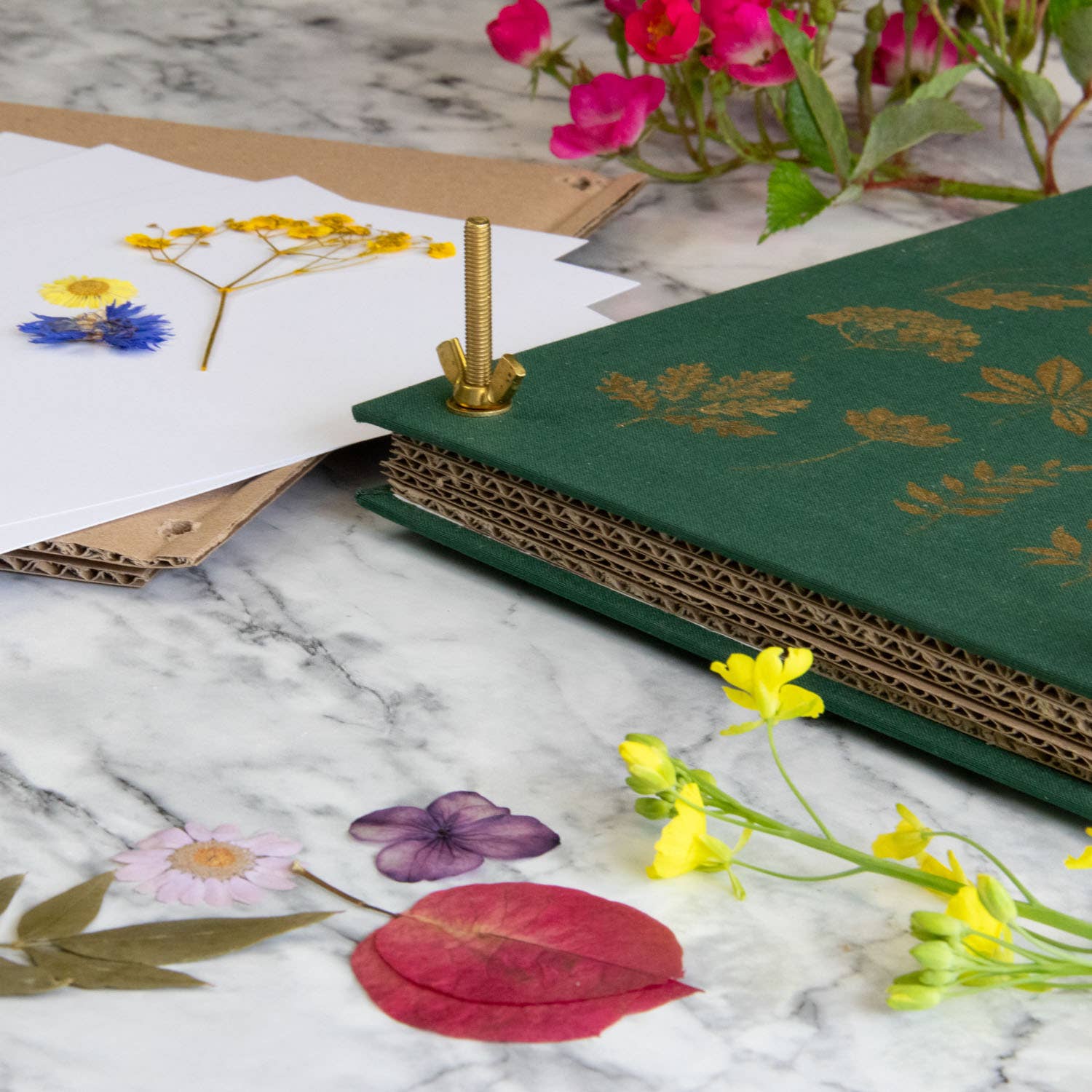 Botanopia - gifts , decor and cards for plant lovers - Wholesale DIY Craft Kit - The Botanical Flower Press – Linen Cover & Gold Foil2