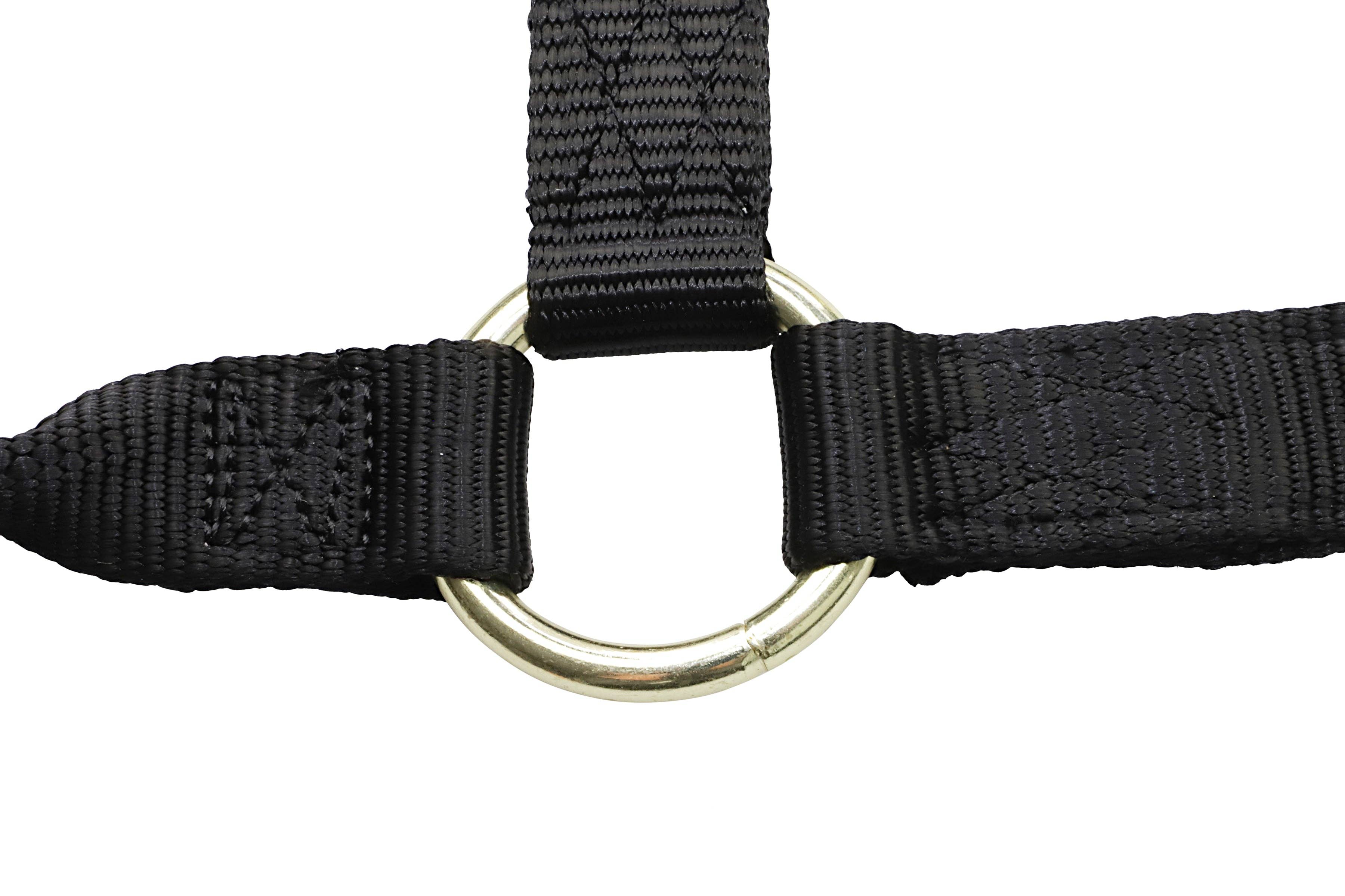 Grewal Equestrian - Wholesale Paardrijuitrusting - Nylon hoofdstellen voor paarden2