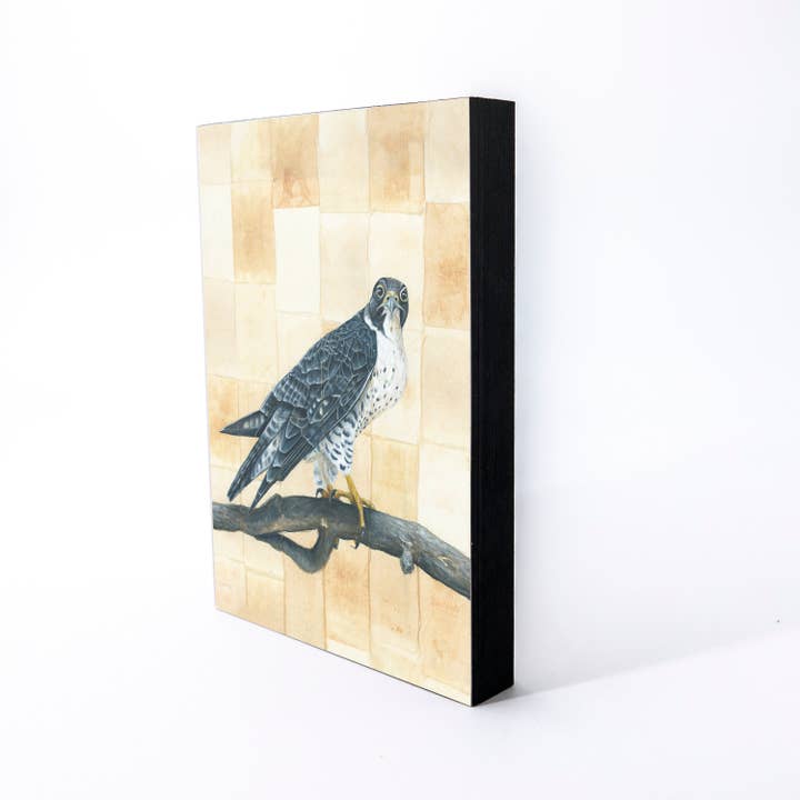 Peregrine Falcon Wood Panel Giclée Print for wholesale by Orphan Girl Fine Art