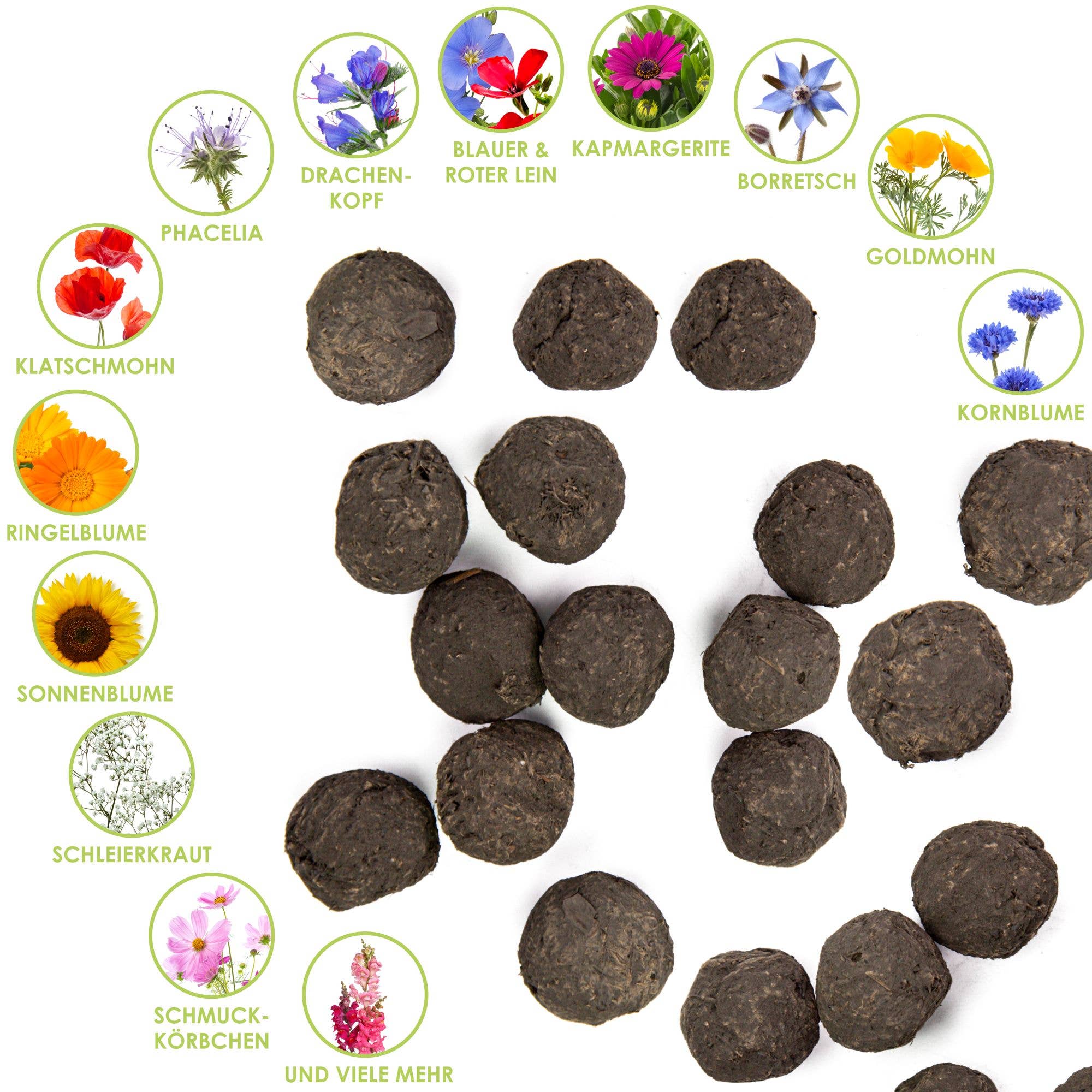 Vendix GmbH - Wholesale Plant Seeds - 12x seed bombs for colorful bee pasture (colorful)2