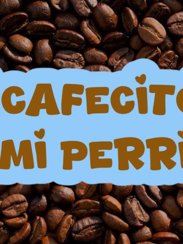 Cafecito en mijn hondje voor wholesale door La Beks