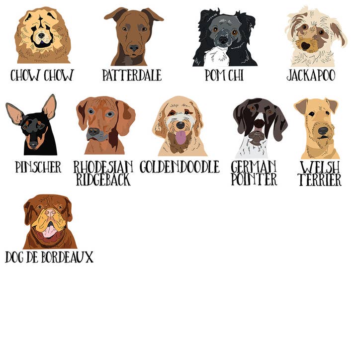 Afewhometruths – wholesale Pet identification tag – Dog – Personalised Dog ID Tag2