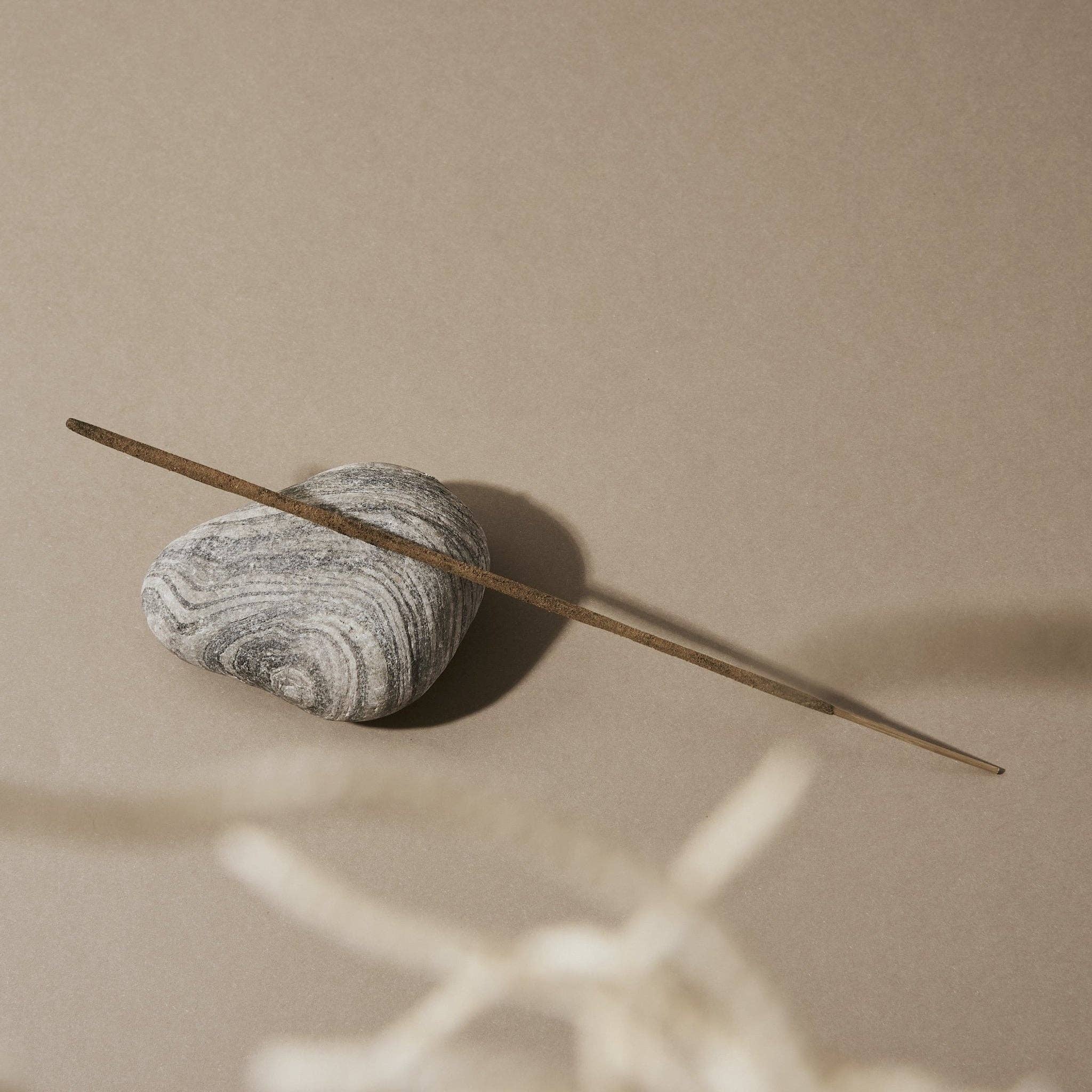 Looshi – wholesale Incense – REWILD Natural Incense Sticks with Vetiver, Musk, Redwood4