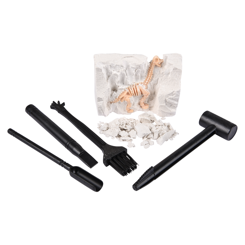 The Toy Network - Wholesale Toy Set - Kids - (T) 6" DINOSAUR FOSSIL DIG SET 12CT2