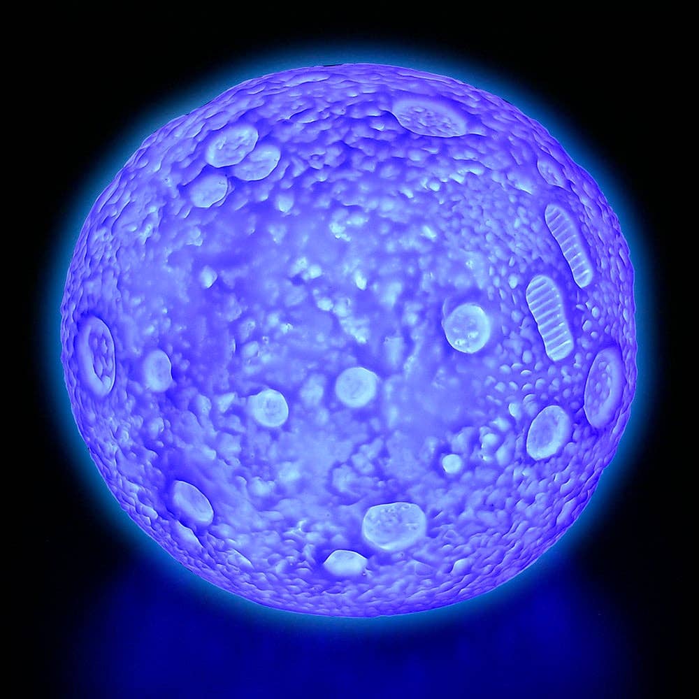 La Luna Bella - Toys - Wholesale Classic Toy - Kids - COLOR CHANGING MOON LIGHT LLB kids toys1