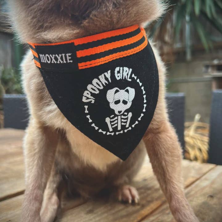 Orange Spooky Girl! Adjustable Pet Bandana for wholesale on Faire