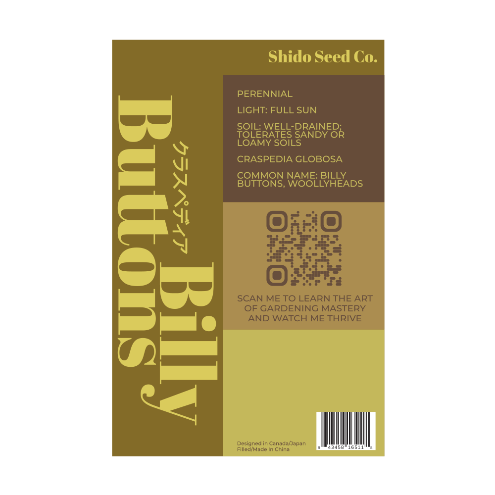 Chive Canada - Wholesale Plant Seeds - 2026 Billy Buttons Flower Seeds Packet1