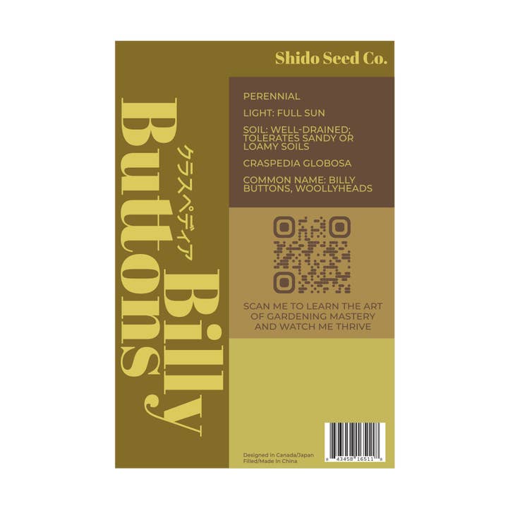 Chive Canada - Wholesale Plant Seeds - 2026 Billy Buttons Flower Seeds Packet1