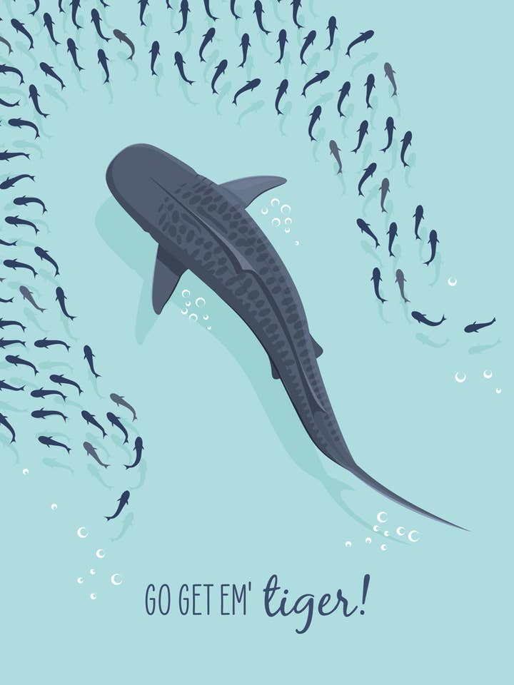 Other Card - Tiger Shark for wholesale by Sailfish Creative