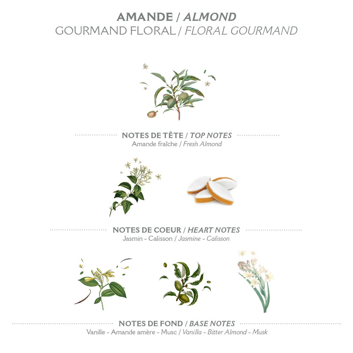 Panier Des Sens - Wholesale Hand Cream/Lotion - Hand cream 30 ml | Almond2