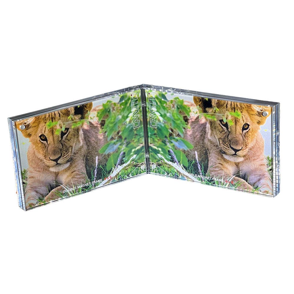 Canetti Design Group Inc. - Wholesale Picture Frame - Accordion Double & Triple Magnet Frame - Fits 4 - 6 Photos0