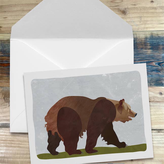 Wren and the Raven ā wholesale Stationery/notecard set ā Alaska Wildlife Series Notecards