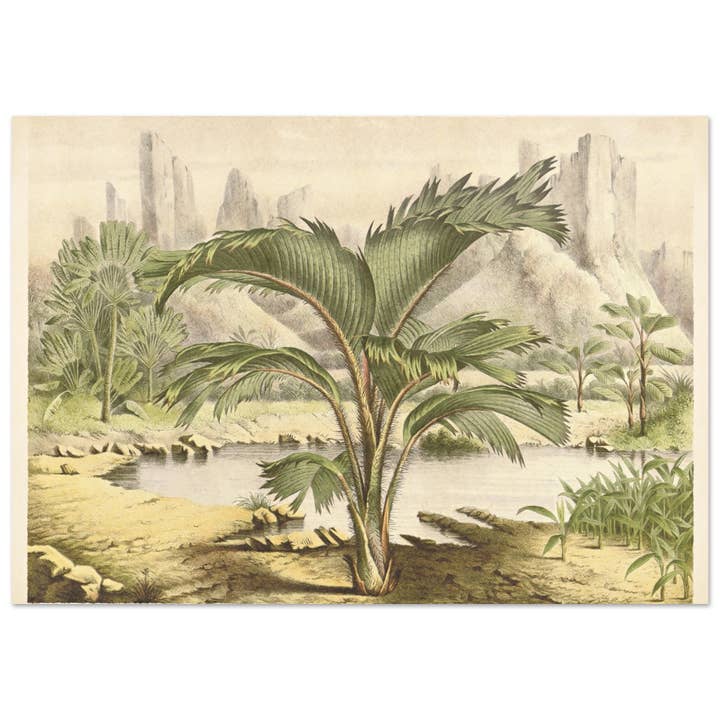 Short Palm for wholesale by Maison de Paloma