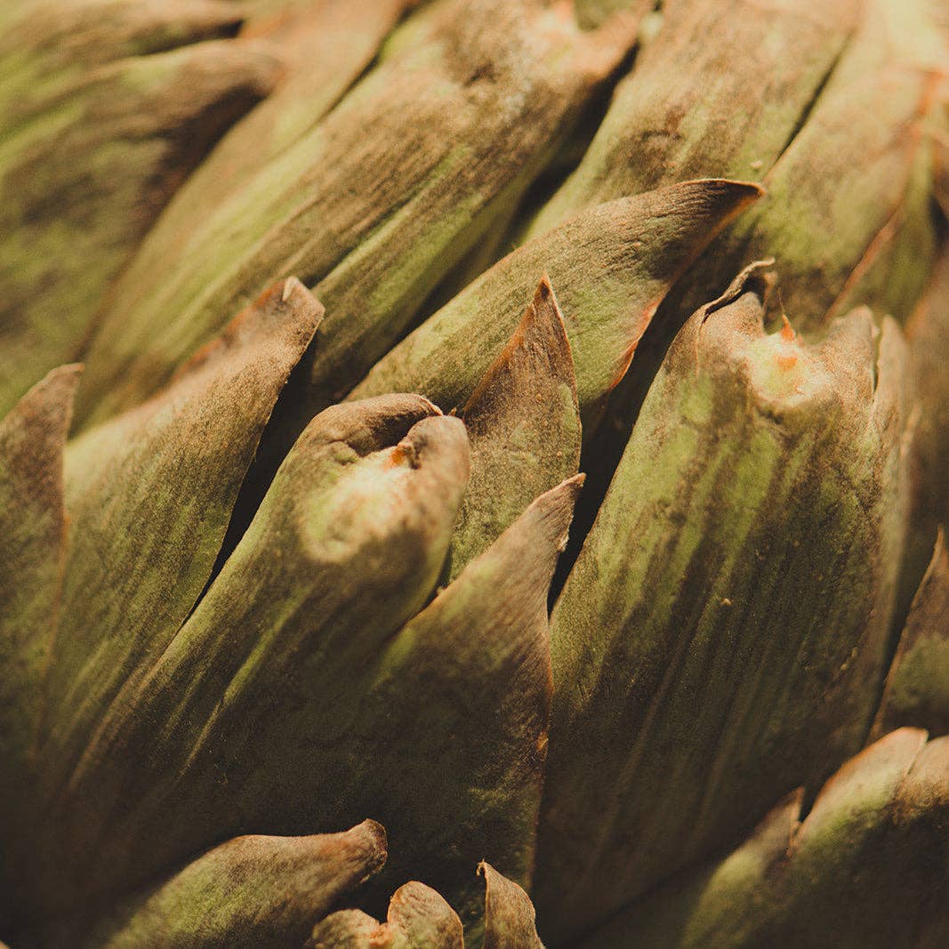 Nose Dive - Vente Bougie en bocal - Montauk2