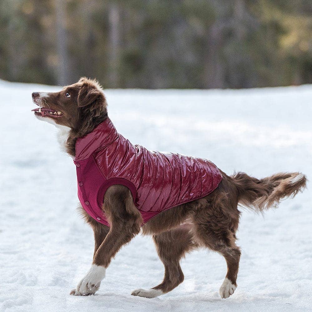 Blueberry Pet - Wholesale Pet Jacket - Dog - Custom-woven& Dyed Puffer Jacket, Flex Chest + Leash Opening30