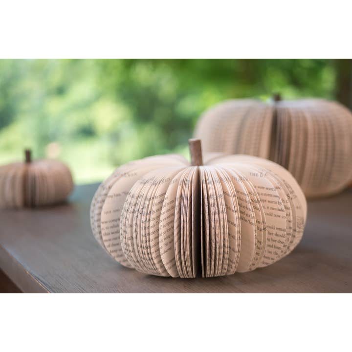 Root To Vine - Wholesale Decorative Tabletop Object - Pumpkin Tabletop Decor-Halloween and Thanksgiving Decor3