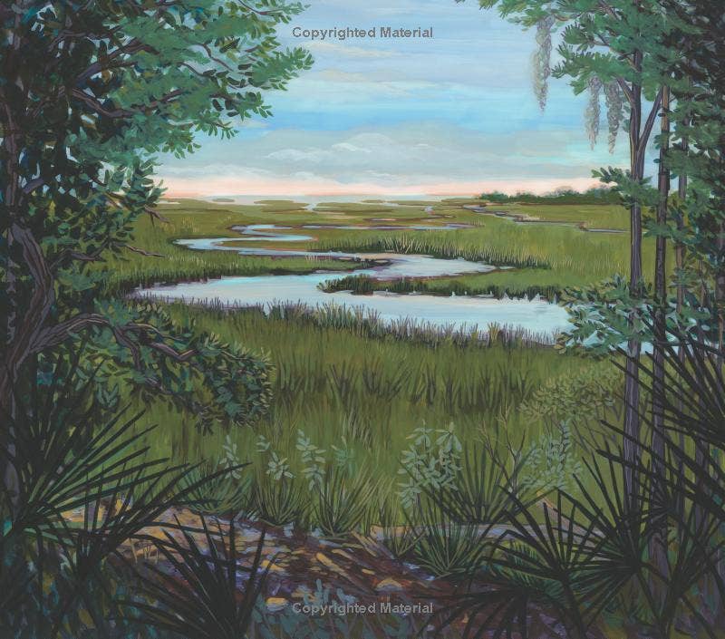 REMOVED BRAND - Wholesale Nature & Outdoors - And the Tide Comes In...: Exploring a Coastal Salt Marsh4