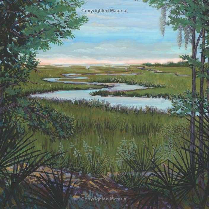 REMOVED BRAND - Wholesale Nature & Outdoors - And the Tide Comes In...: Exploring a Coastal Salt Marsh4