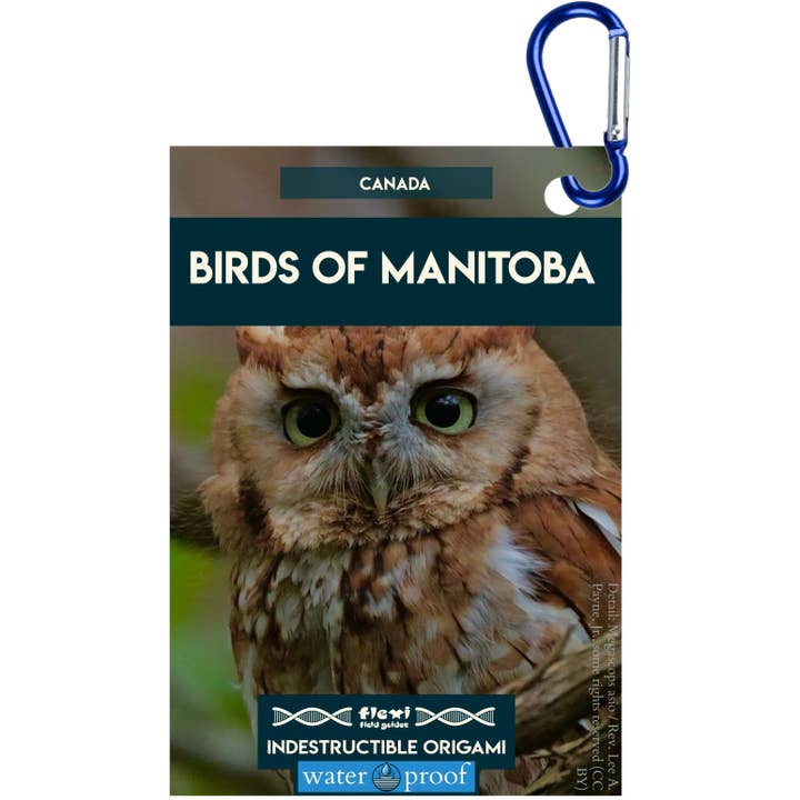 Vogels van Manitoba-Onverwoestbare Origami voor wholesale door Flexi Field Guides