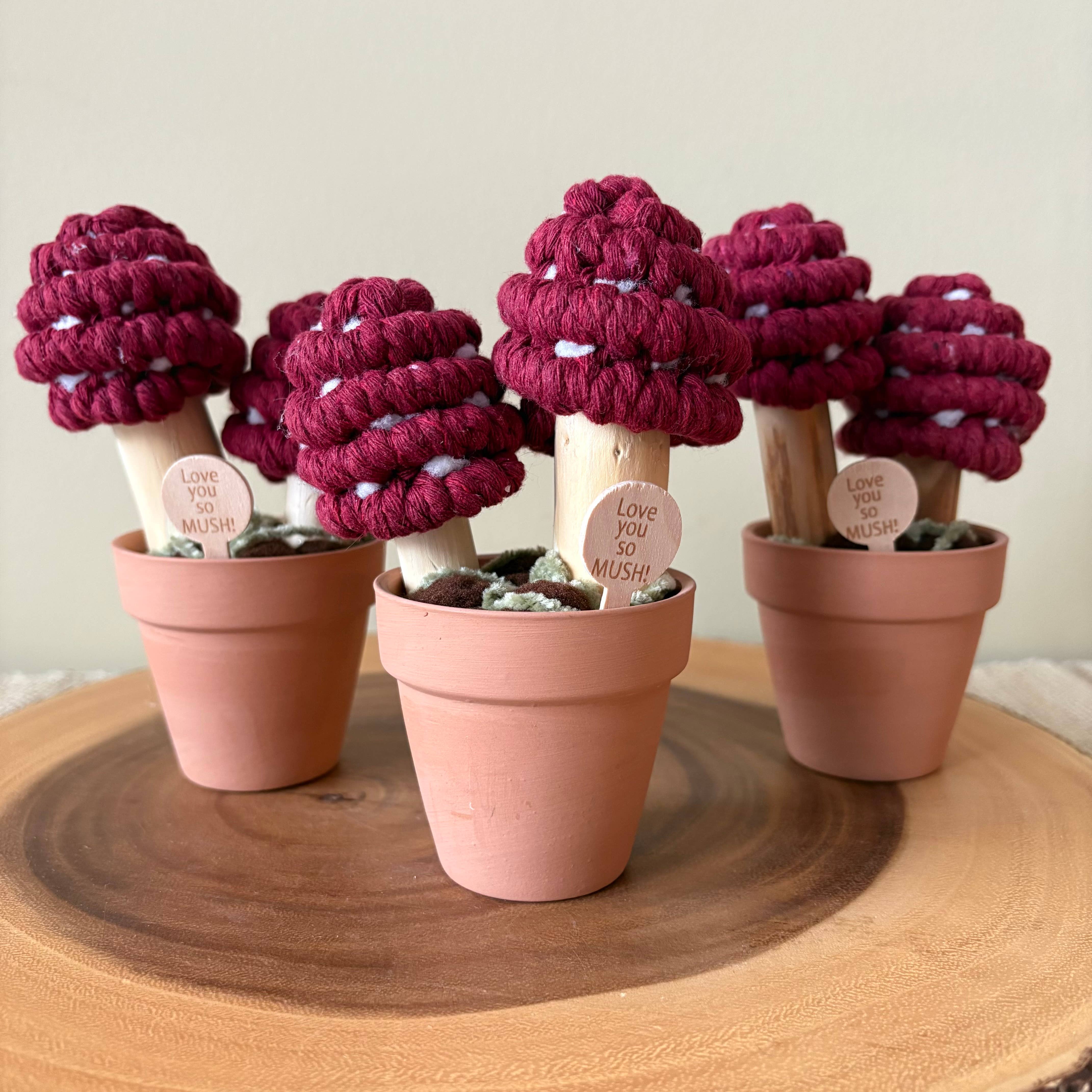 ForgetBKnot - Wholesale Artificial Plant - “Love you So Mush” Macrame Mushroom Arrangement7