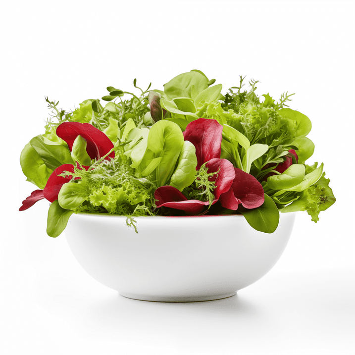 Creator Wellness - Wholesale Plant Seeds - Salad Mix Microgreens Growing Kit by Creator Wellness, Perfect for Salads9