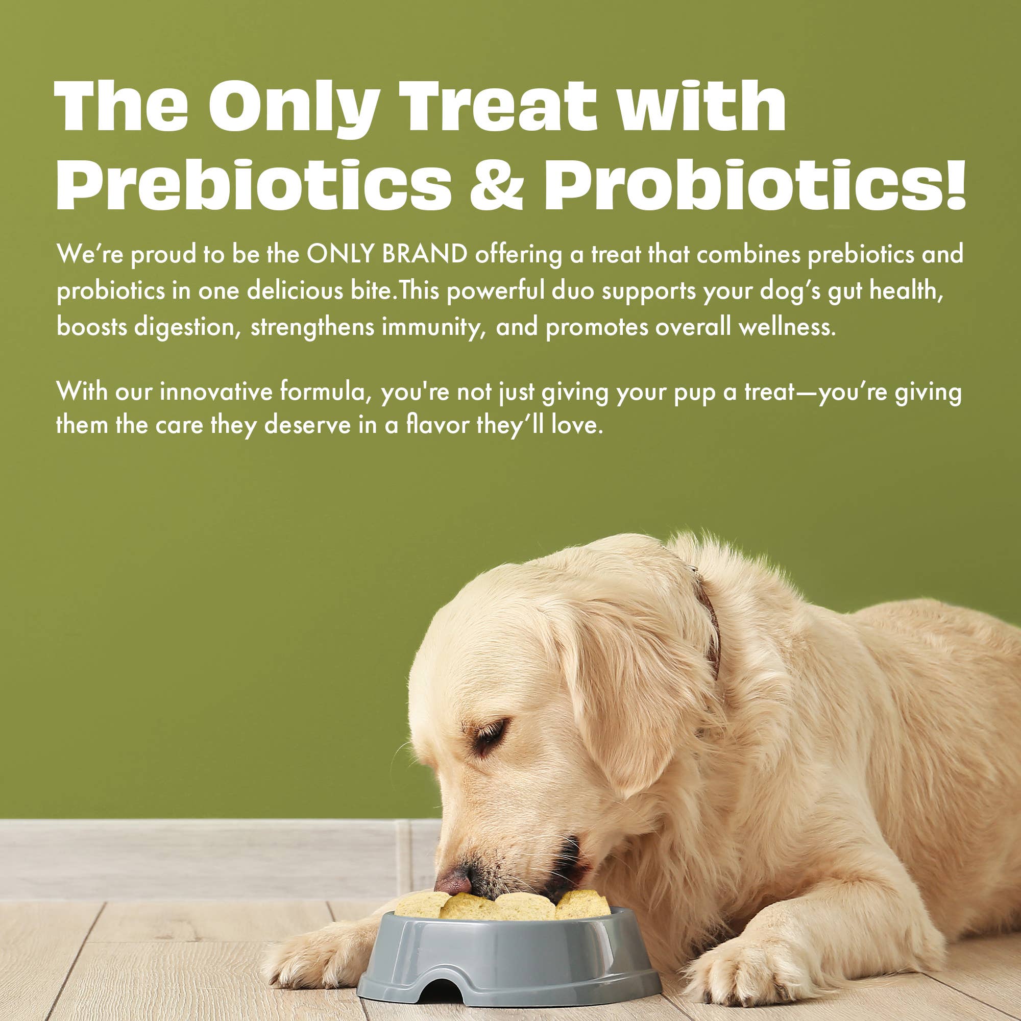 Pawfect Foods – Engroshandel Godbid - Hund – Pawfect Yoghurt Melties Pre- og Probiotiske Hundegodbidder med Ananas, Kokos, Banan, Mælkebøtte | Sund Fordøjelse l Få Kalorier | Korn- & Glutenfri | Belønnings- eller Træningsgodbidder (38g/1.34oz)5