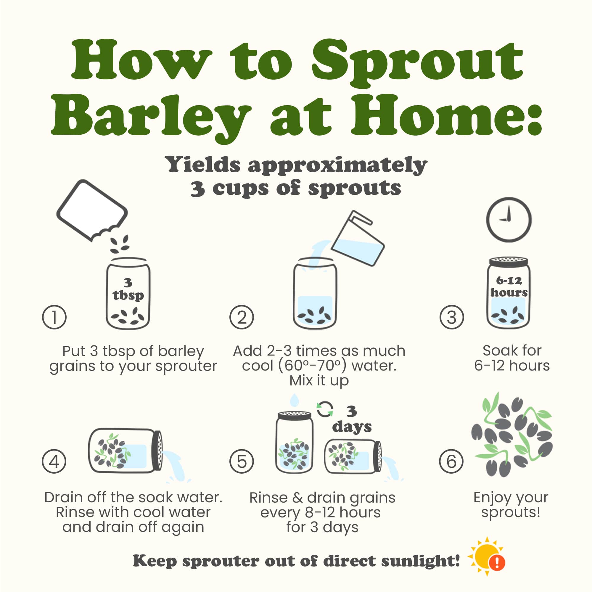 Food To Live - Wholesale Whole Grains - Organic Whole Unhulled Barley - Non-GMO, 100% Natural, Raw6