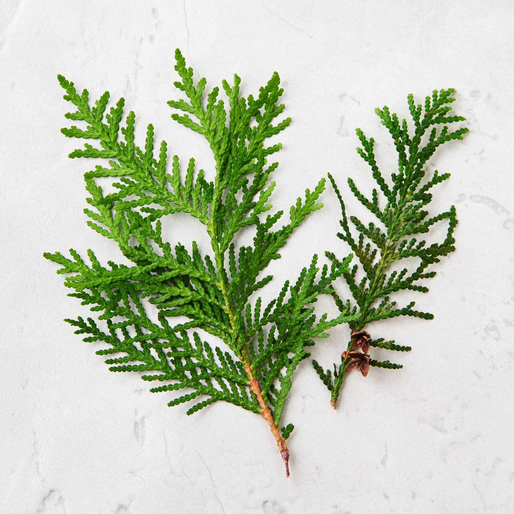 Matter Company - Vente Sel de bain - Sels de bain3