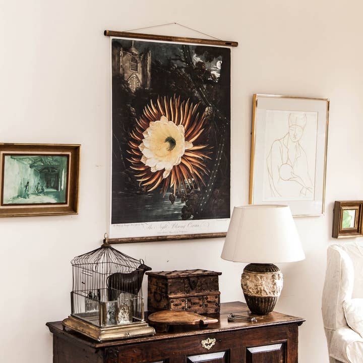 Die Nacht Blume - Botanische Wandtafel für den Großhandel von ERSTWHILE