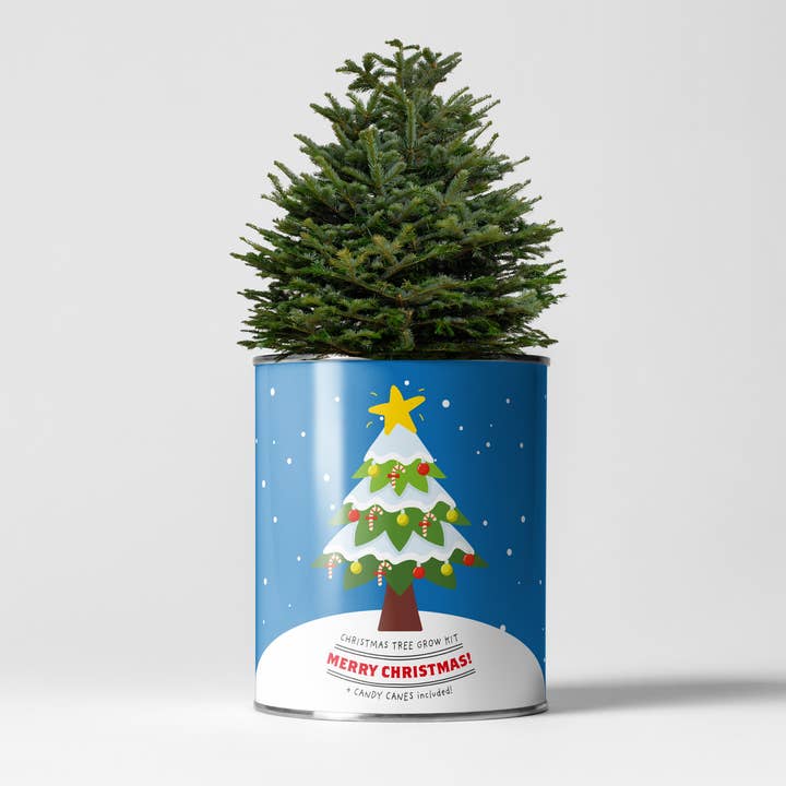The Plant Gift Co. – wholesale Christmas decoration – Merry Christmas, Grow Your Own Xmas Tree, plus Candy Canes