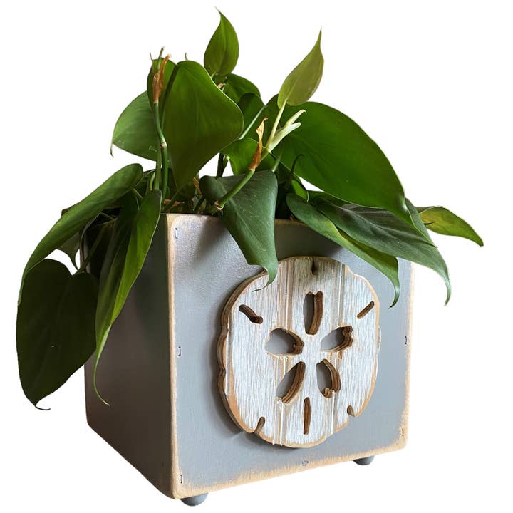 Sand Dollar Wooden Box Planter for wholesale by Grace Graffiti