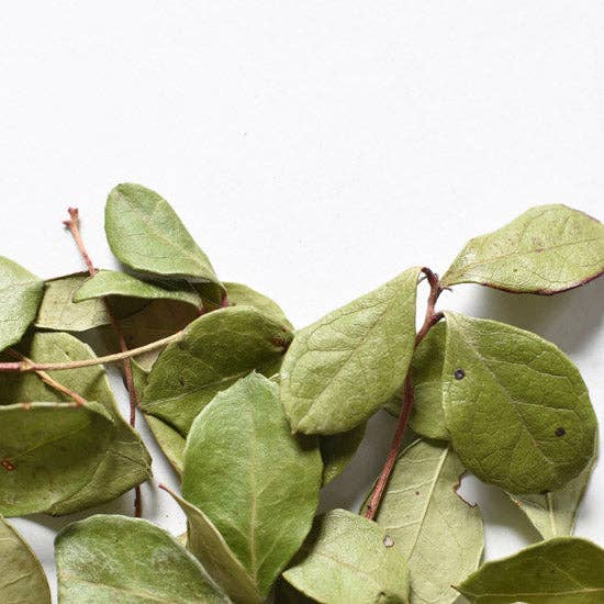 Thé des bois B2B for wholesale by Floèm