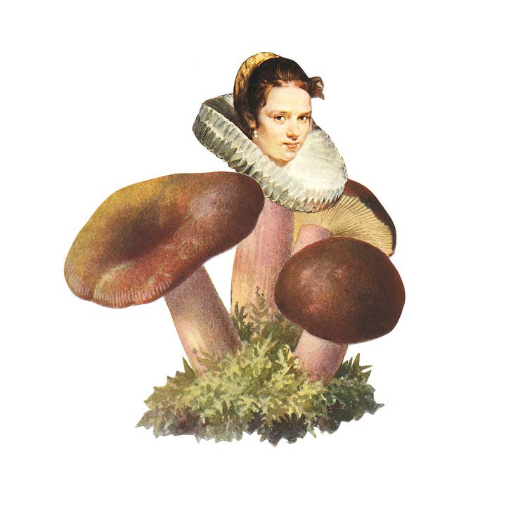 Stampa Elizabethan Shroom per la vendita all'ingrosso da parte di Nature Morph