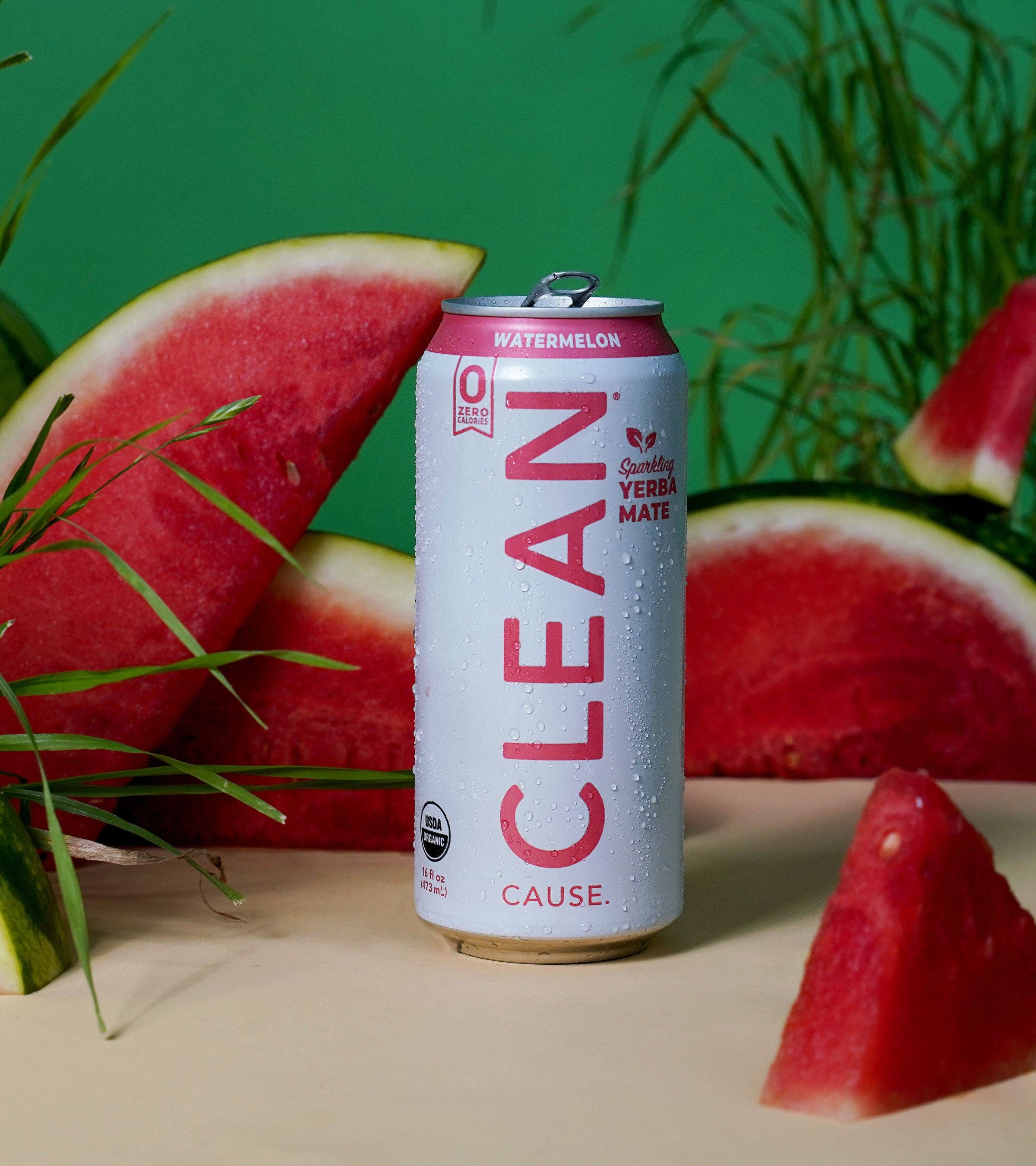 CLEAN Cause - Wholesale Iced Tea - Organic Watermelon Zero Calorie Yerba Mate Tea- 12-pack Cans4
