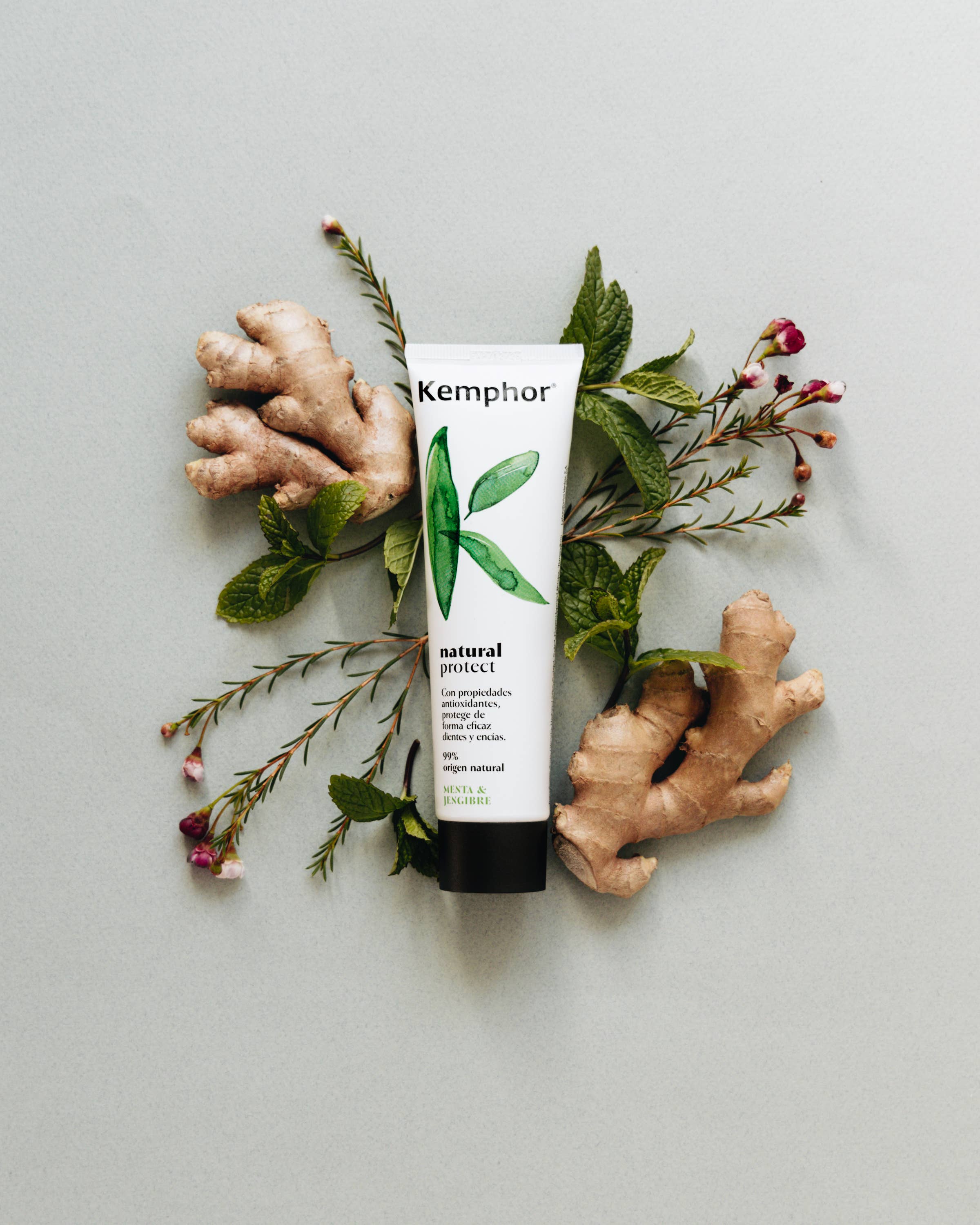 Laboratorios Verkos S.A - Wholesale Toothpaste - KEMPHOR Natural Protect Toothpaste 100 ml