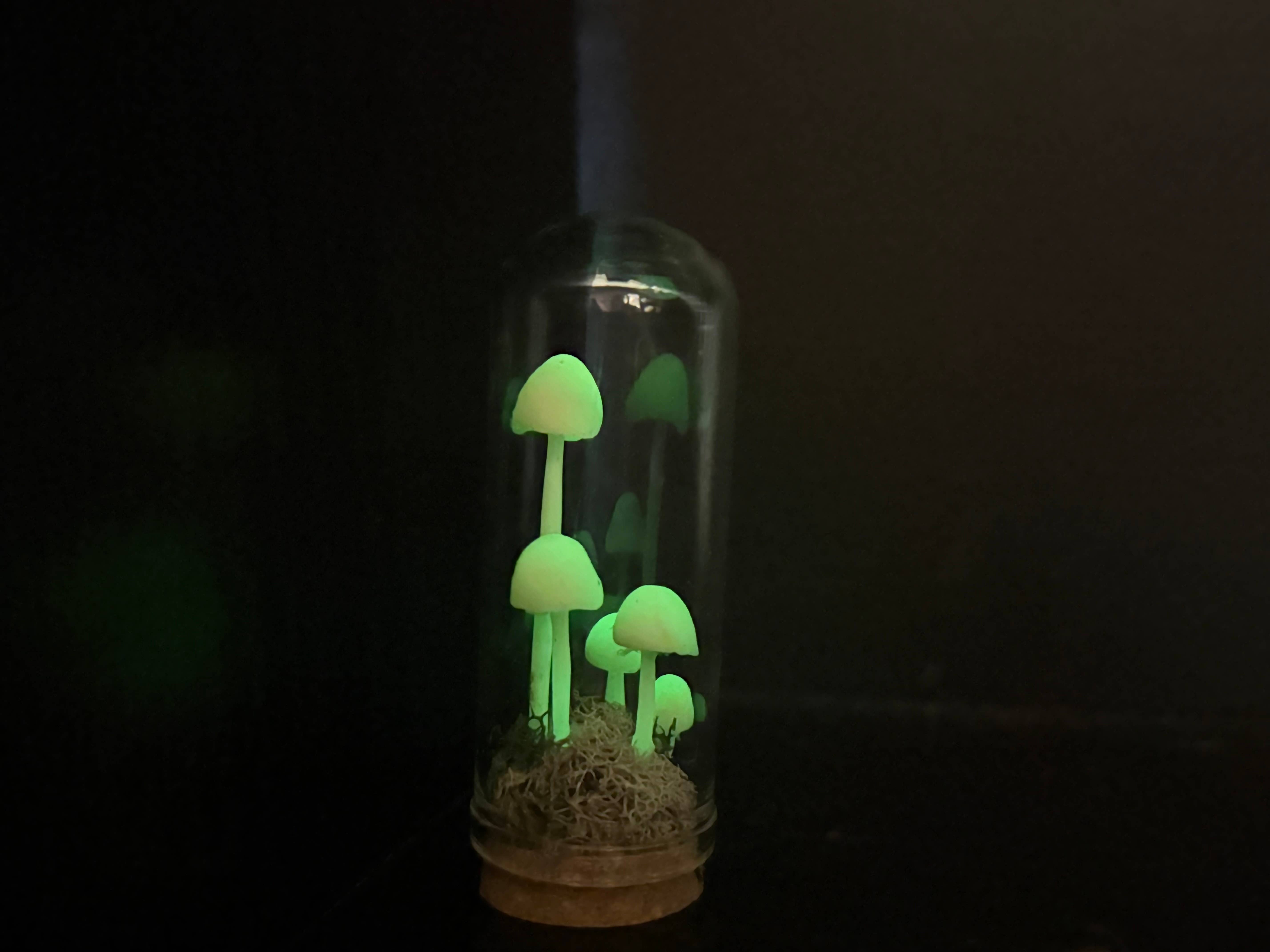 Leafy Ann Art - Wholesale Sculpture - Mushrooms glow mushroom terrarium1