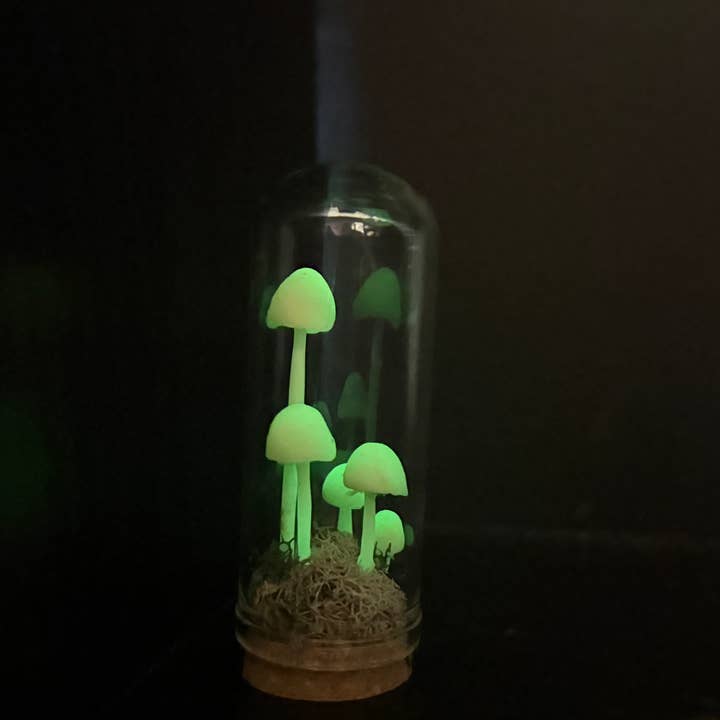 Leafy Ann Art - Wholesale Sculpture - Mushrooms glow mushroom terrarium1