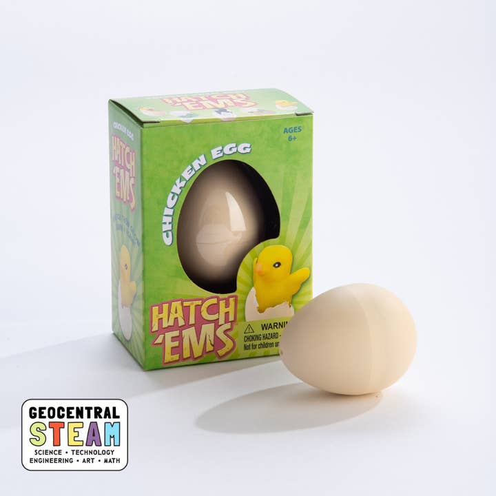 GeoCentral – wholesale Classic toy – Kids – Chicken Eggs (Mini Hatch'ems) | Watch them Grow!