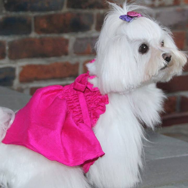 Dog in the Closet – vestido - Cão por atacado – O vestido Tiffany Hot Pink Silk Dog1