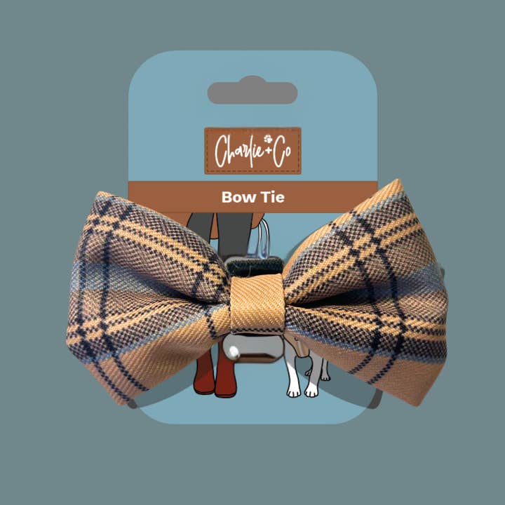 Bow Tie - Check Him Out for wholesale by Charlie & Co