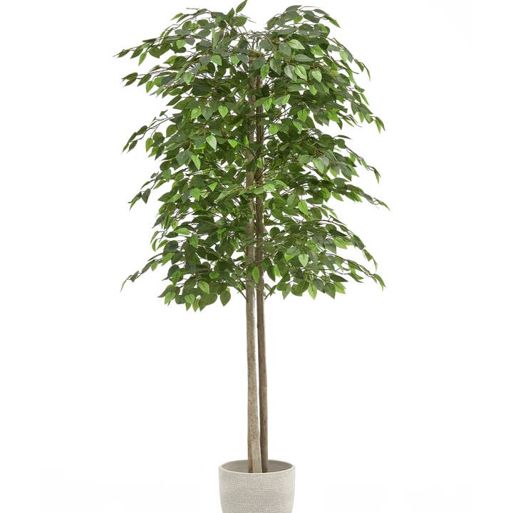 Maia Shop - Wholesale Artificial Plant - Artificial Ficus 150 cm1