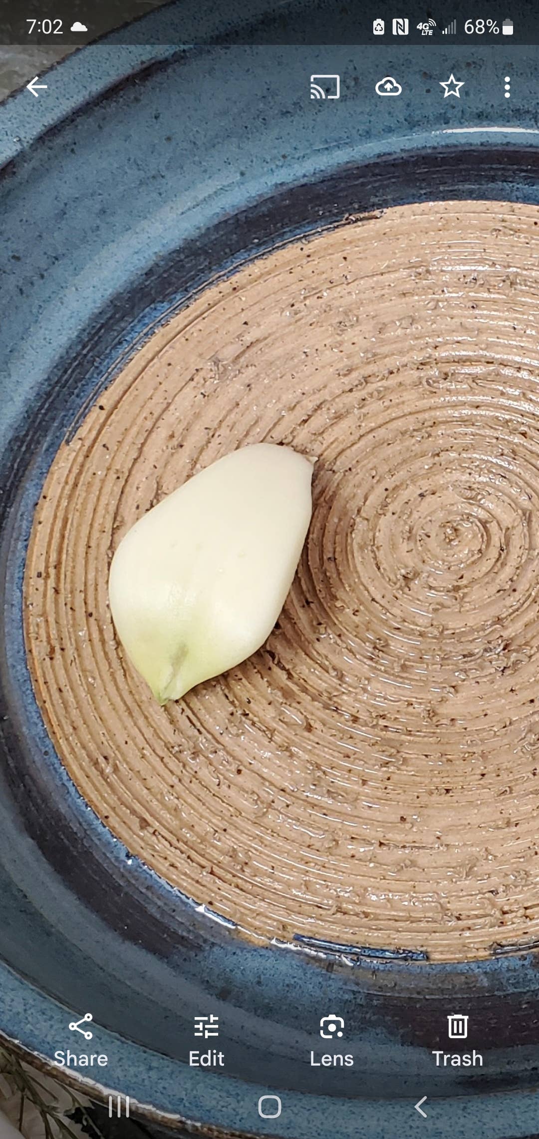 Turtle Hollow Pottery - Wholesale Condiment/Dip Bowl - Garlic dip dish2